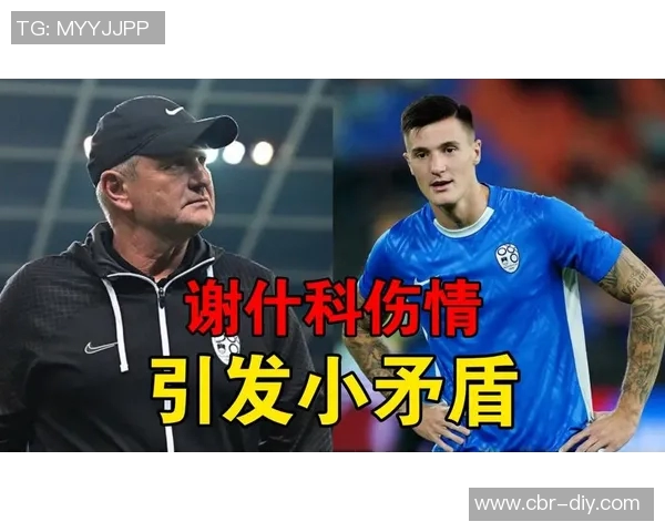 斯洛文尼亚足协回应舍什科伤情争议与曼联的沟通结果